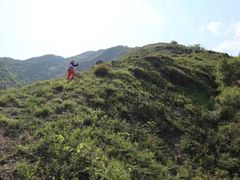 -北京鹫峰国家森林公园