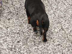 -米兰马尔彭萨国际机场