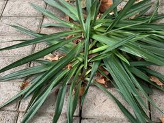 -姑奶奶厨坊(二七店)