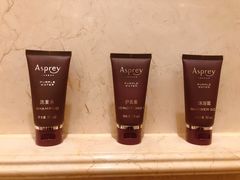 -广州富力丽思卡尔顿酒店