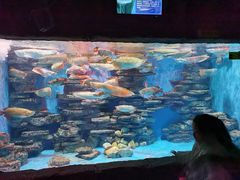 -多彩贵州城极地海洋世界