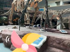 -安徽省地质博物馆