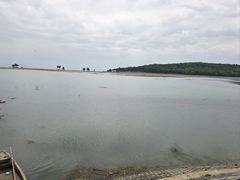 -金鸡湖桃花岛