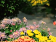 -杭州植物园
