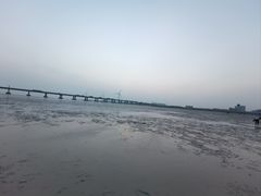 -南汇新城海滩