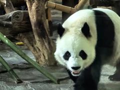 -泉州海丝野生动物世界