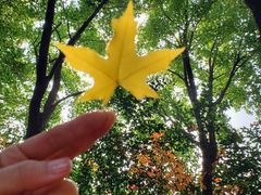 -淇河国家湿地公园