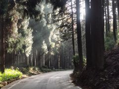 -山王坪喀斯特国家生态公园