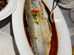 -醉庐·新上海菜(南京西路店)