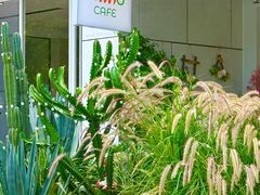 -ommo cafe(半岛城邦店)