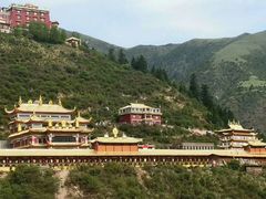 -张北坝上草原
