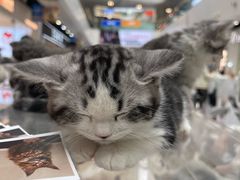 -万达广场(北京槐房店)