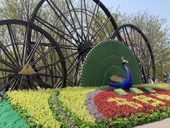 -呀路古热带植物园