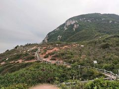 -杨梅坑