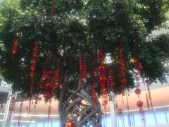 -南通洲际绿博园