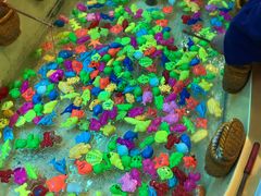 -南宫温泉水世界