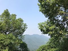 -南山植物园
