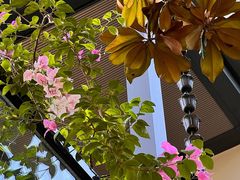 -恬阿姨庭院餐厅·生日宴