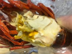 -怪怪龙虾·澳洲蓝龙王·深夜食堂(惊驾路店)