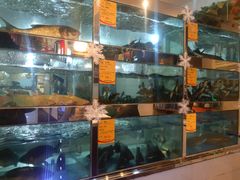 水产区-蜀滋香鲜鱼美蛙火锅(339店)