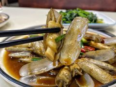 姜葱炒老蛏-鑫悦楼煎蟹·16年海鲜大排档
