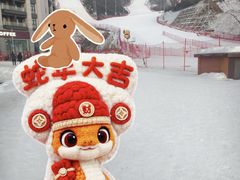 -翠云山银河滑雪场