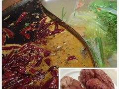 -杨家火锅(国美店)