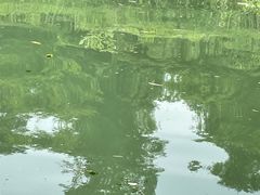 -杭州双溪漂流景区