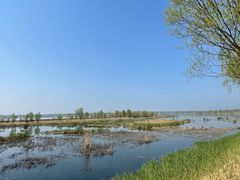 -野鸭湖国家湿地公园