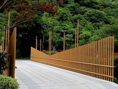 -北仑森林植物园