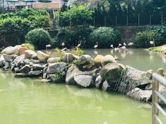 -石排湾郊野公园