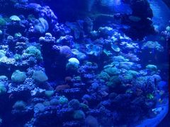 -太平洋海底世界