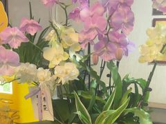 -佛有缘素食馆·荔湾老字号(陈家祠首店)