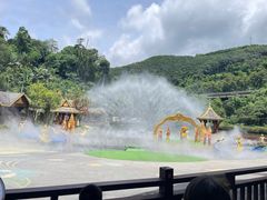 -西双版纳原始森林公园