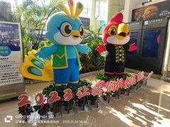 -德宏芒市国际机场