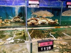 水产区-蚝美人·生蚝海鲜烧烤(茶花园店)