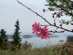 -花亭湖风景名胜区