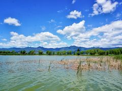 -野鸭湖国家湿地公园