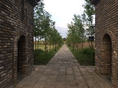 -广富林郊野公园