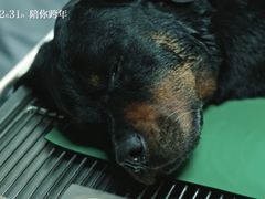 -和美电影艺术中心(万国城店)
