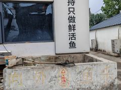 -向外鱼乐·土菜·虹鳟鱼