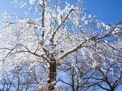 -鲁山国家森林公园