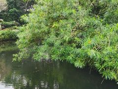 -广州兰圃