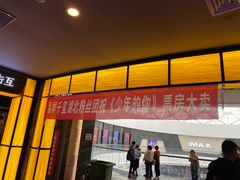 -万达影城(汉街万达广场IMAX店)