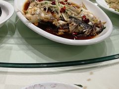 清蒸鲈鱼-添福来墨鱼饺子 · 海鲜东北菜(大连星海·黄浦路店)