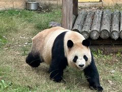 -杭州野生动物世界