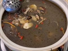 -杨记山珍鸡煲菌汤锅