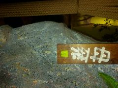 -原人故事烤肉店·鲜肉原切(永乐公园店)