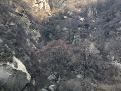 -少华山国家森林公园