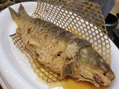 红烧黄河大鲤鱼-阿庄新豫菜(航海东路店)